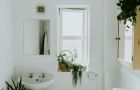 Why Ignoring a Leaky Shower Seal Can Cost You Thousands