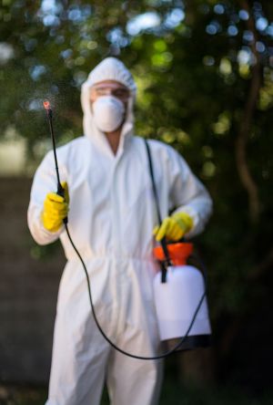 Pest Control