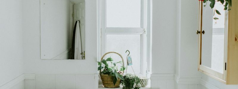 Why Ignoring a Leaky Shower Seal Can Cost You Thousands