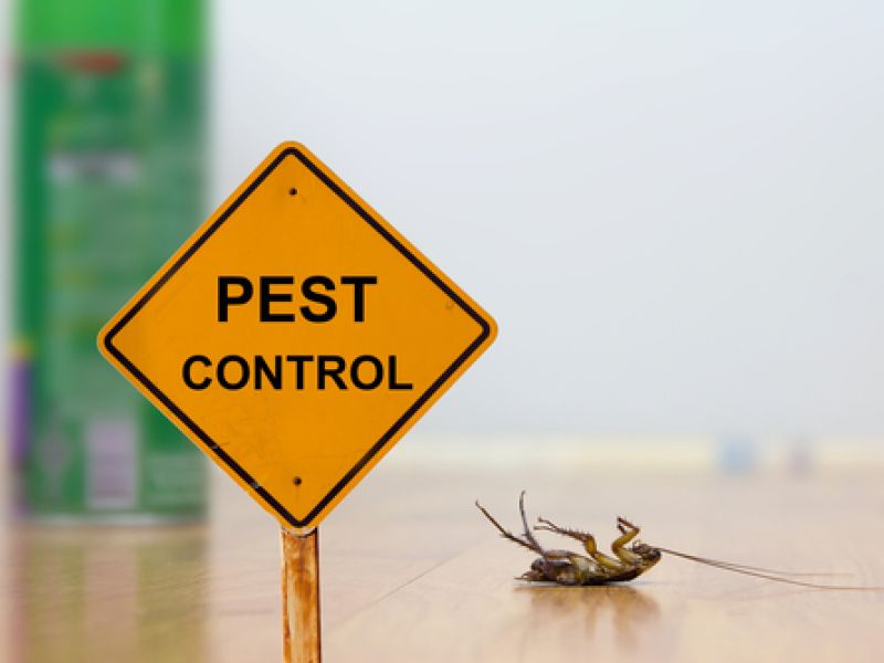 Pest Control