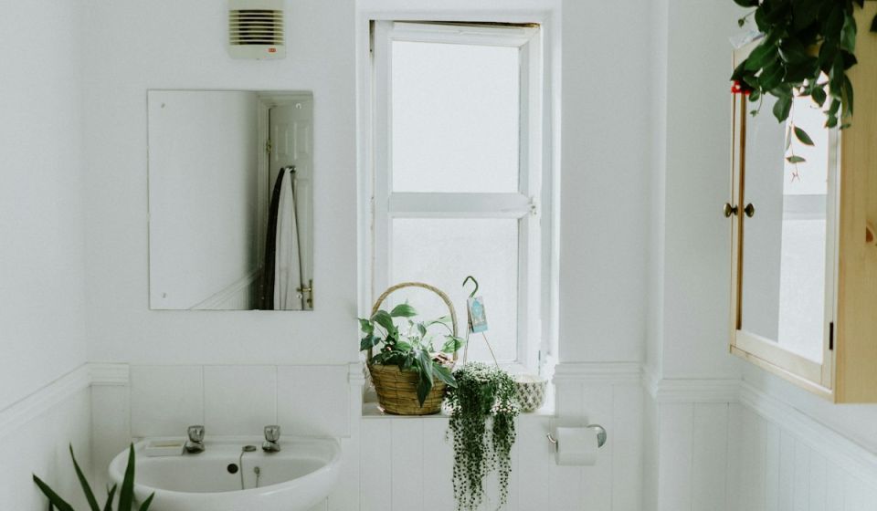 Why Ignoring a Leaky Shower Seal Can Cost You Thousands