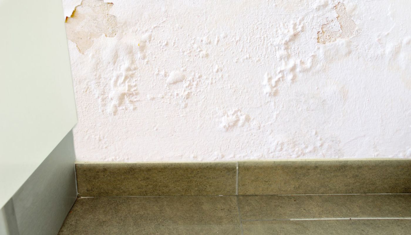 Can Plumbers Detect Leaks Behind Walls?