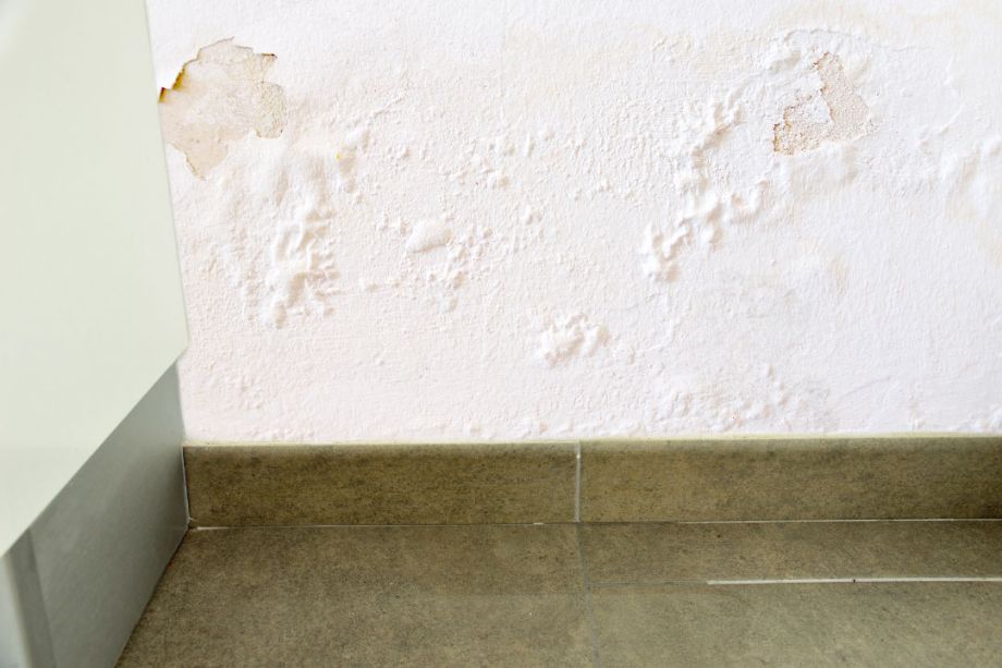 Can Plumbers Detect Leaks Behind Walls?