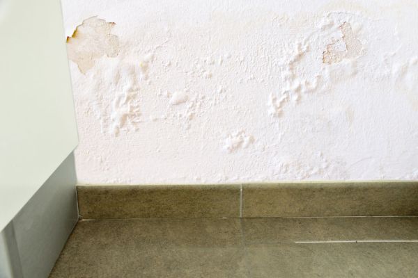 Can Plumbers Detect Leaks Behind Walls?